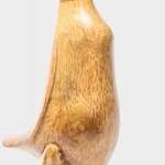 KAČKA - kachna z tropického dřeva
